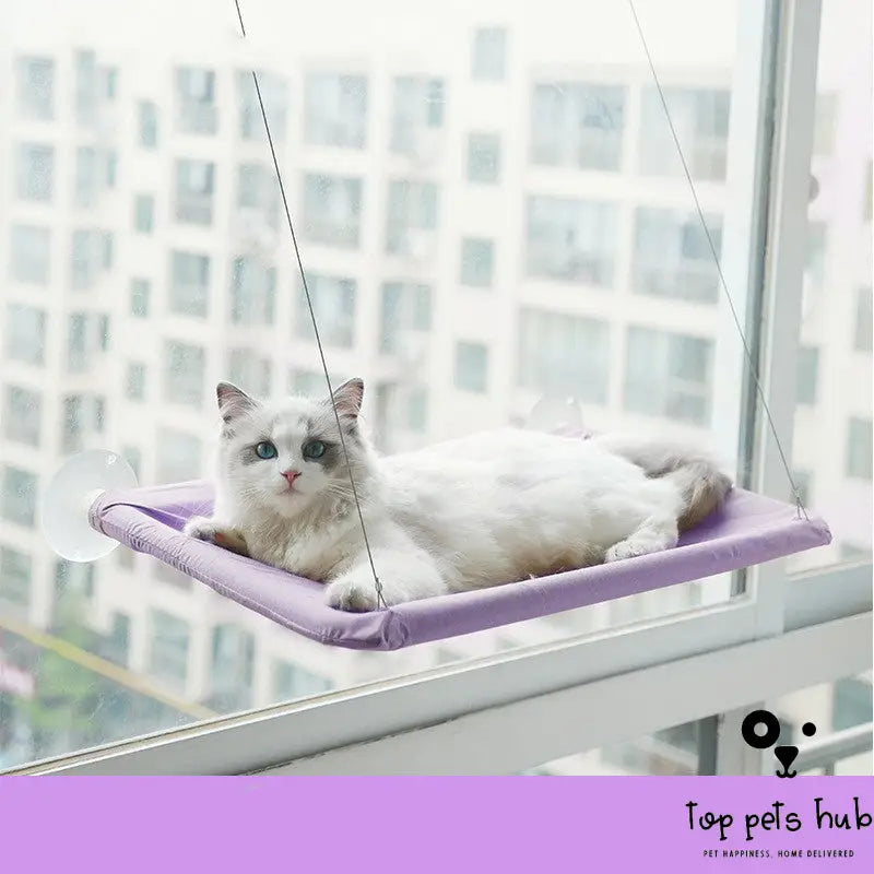 HangPurr Cat Window Hammock with Litter Sucker