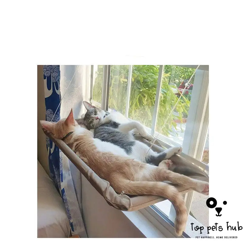 HangPurr Cat Window Hammock with Litter Sucker