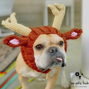Windproof Halloween Knitted Dog Hat