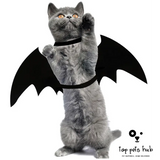 Bat Wing Pet Costume